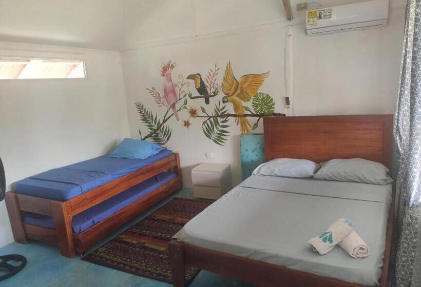 اتاق استاندارد چهار تخته, El Zoo Hostel, Bar & Pool