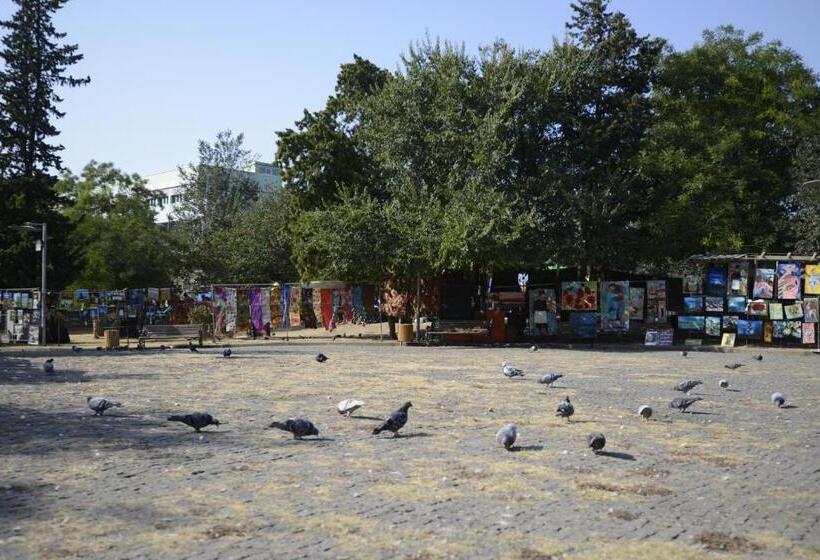 اتاق اکونومی, Atlant