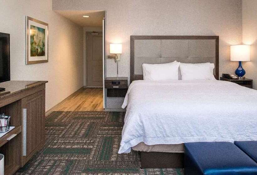 Habitació Estàndard, Hampton Inn Chicago Mccormick Place