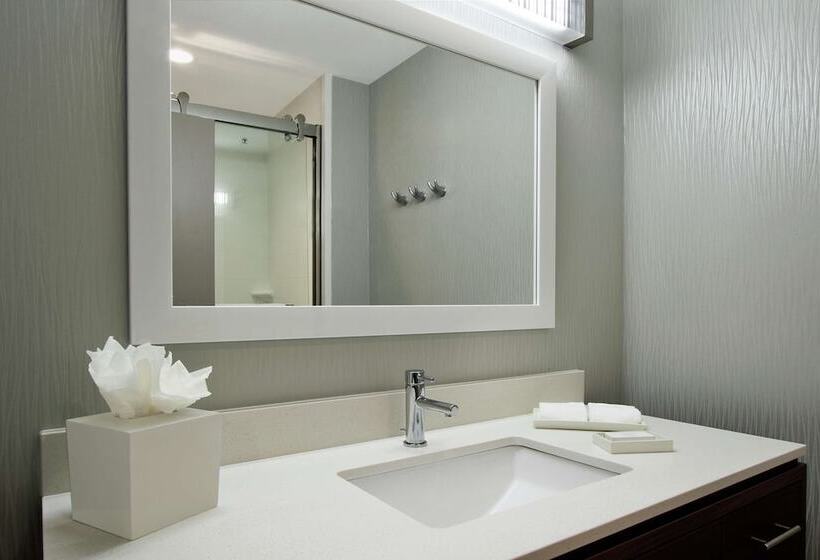 Suite Tilpasset til Handicappede, Home2 Suites By Hilton Mobile I65 Government Boulevard