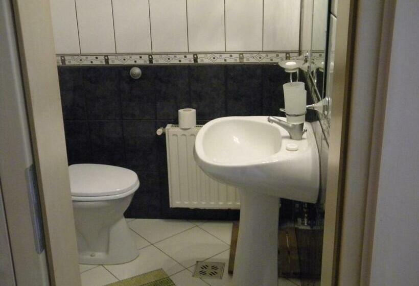 Номер Superior, Pensiunea Buon Gusto Sibiu Motorcyle Friendly,city Center