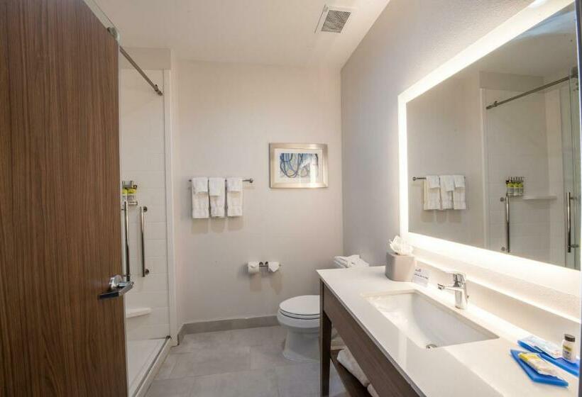 标准间, Holiday Inn Express & Suites   Houston Westchase   Westheimer, An Ihg