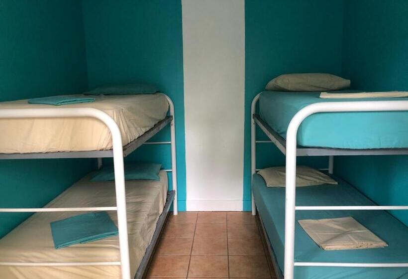 تختخواب در اتاق مشترک, Darwin Hostel