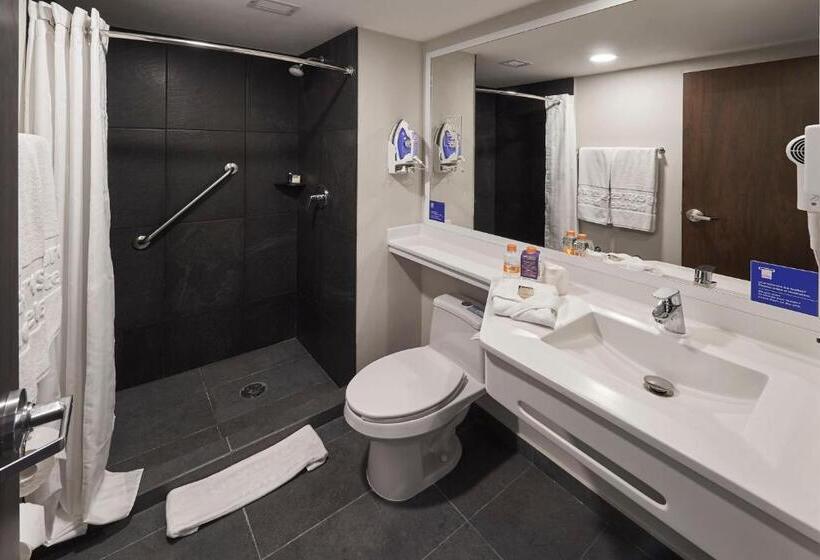 Standard Szoba, City Express By Marriott Ciudad De México Tlalnepantla