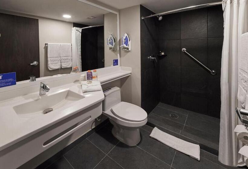 Suite King Size Bed, City Express By Marriott Ciudad De México Tlalnepantla