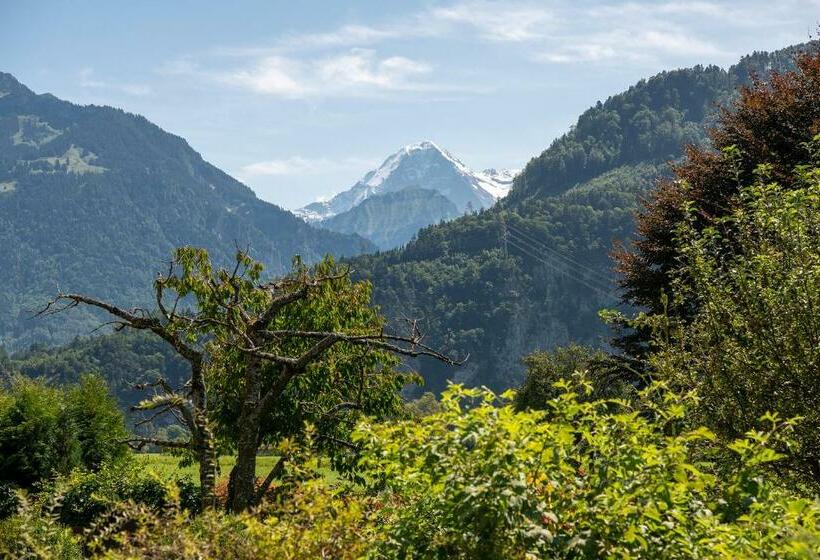 اتاق استاندارد, Salzano Basic Rooms Interlaken