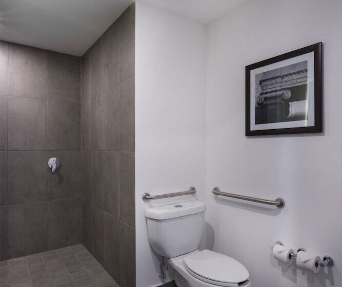 اتاق استاندارد با 2 تخت دوبل, Hampton Inn San Luis Potosi