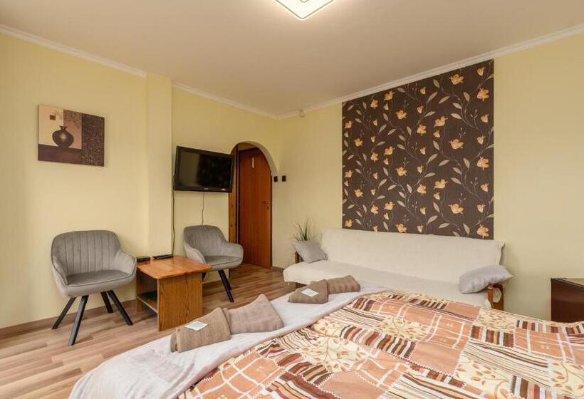 Номер Стандарт, Janika Pension