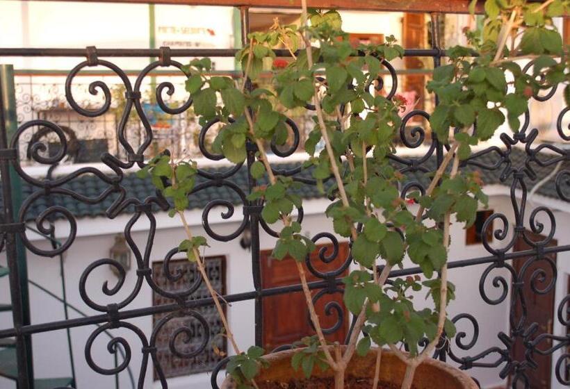 غرفة قياسية رباعية, La Colombe Blanche