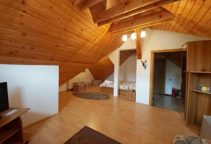 펜트하우스 룸, Camere De Inchiriat Cascada