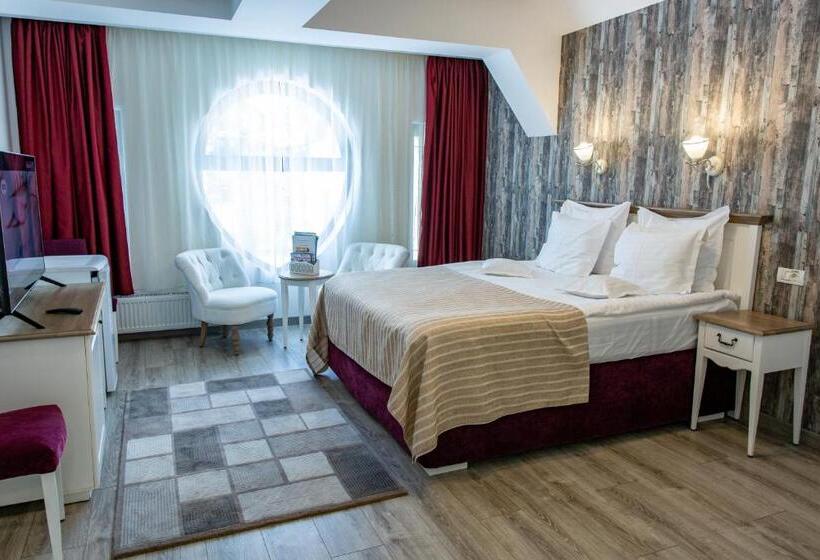 Стандартный Номер Кровать Кинг, Pensiunea Carmen`s Mansion B