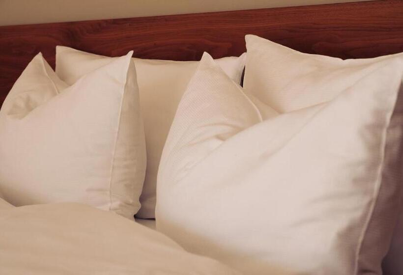 شقة غرفتين, Residence Panorama