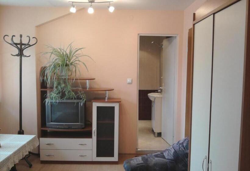 Номер Deluxe Вид на Горы, Aleks Guest House