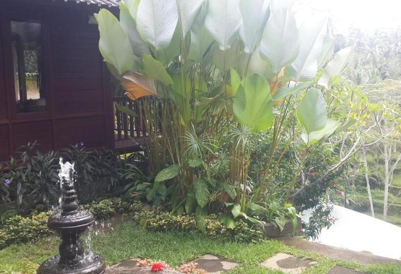 수피리어 룸, Villa Wedang