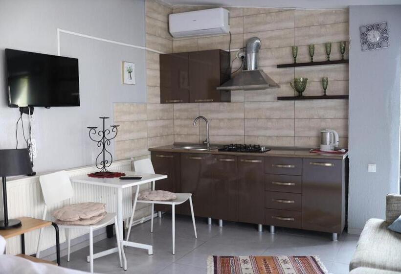 اتاق استاندارد, Isev Kvareli