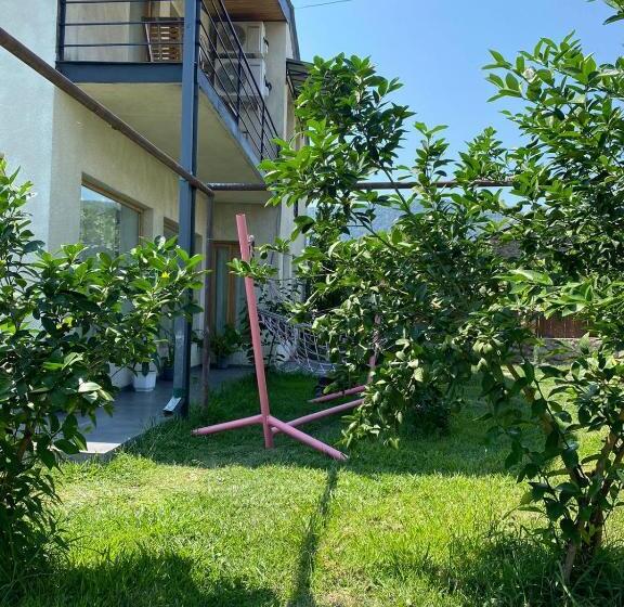 ویلای 1 خوابه, Isev Kvareli