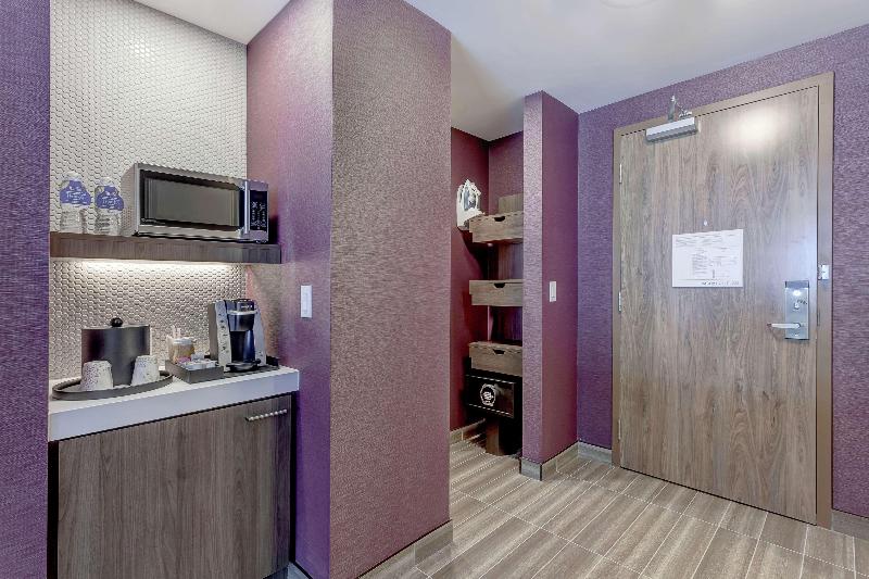 اتاق استاندارد با تخت بزرگ, Hilton Garden Inn Toronto Brampton West