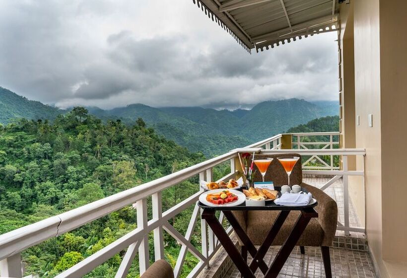 로얄 스위트, Cygnett Resort Mountain Breeze