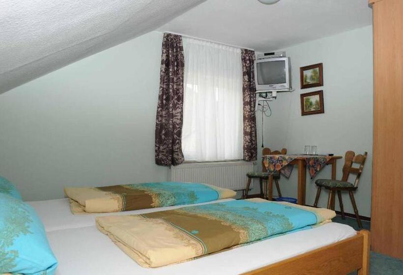 Номер Стандарт, Pension Holzapfel