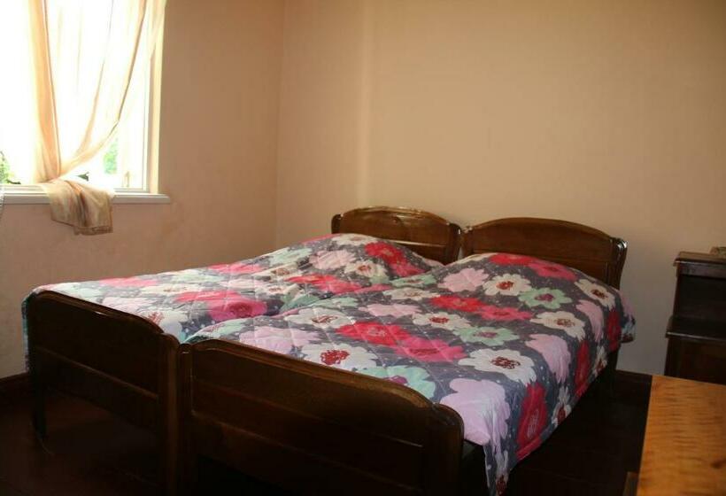 اتاق اکونومی, Achi Guest House