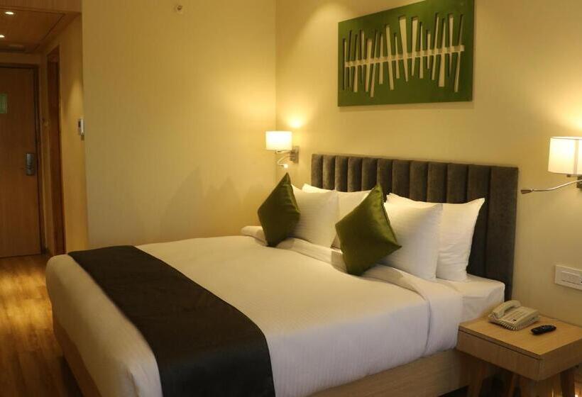 Номер Deluxe, Regenta Central Harsha Vapi