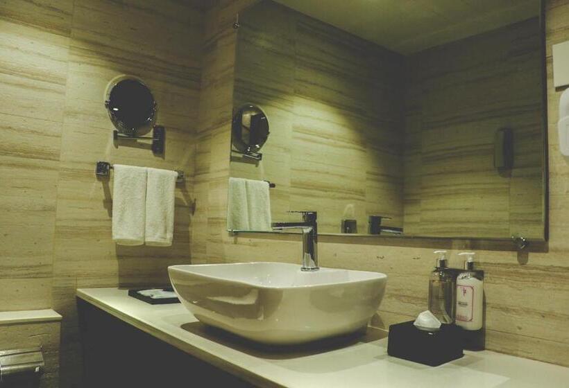 Номер Премиум, Regenta Central Harsha Vapi