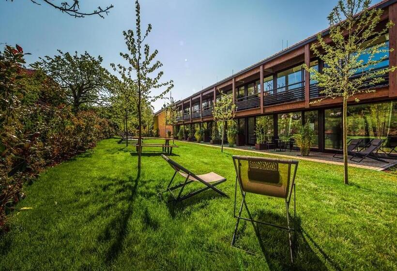 Апартаменты 1 Спальня с Балконом, Ferienwohnungen Boardinghouse Bodensee