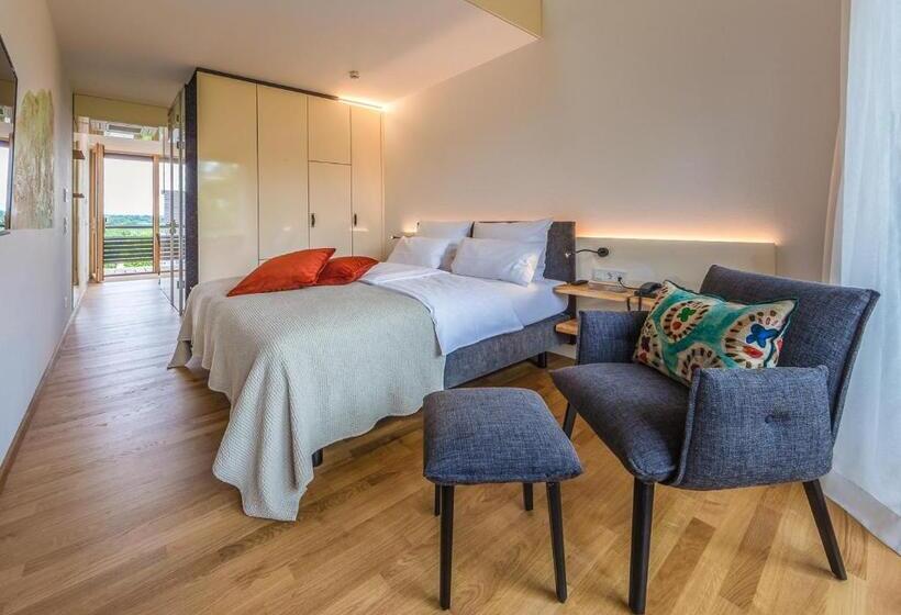 Апартаменты 1 Спальня с Балконом, Ferienwohnungen Boardinghouse Bodensee