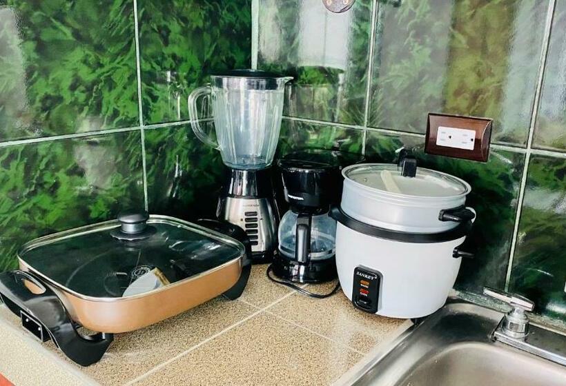 Студия Стандарт, Nomada S Digital