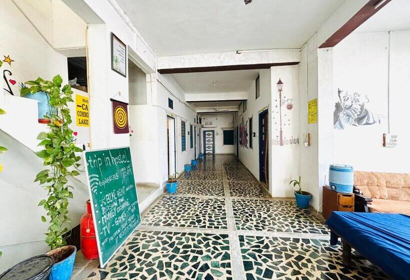 غرفة قياسية ثلاثية, Trip In Hostel