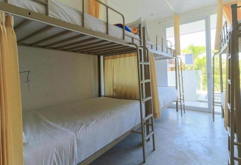 Кровать в Общей Комнате, Margarita Surf Hostel Canggu