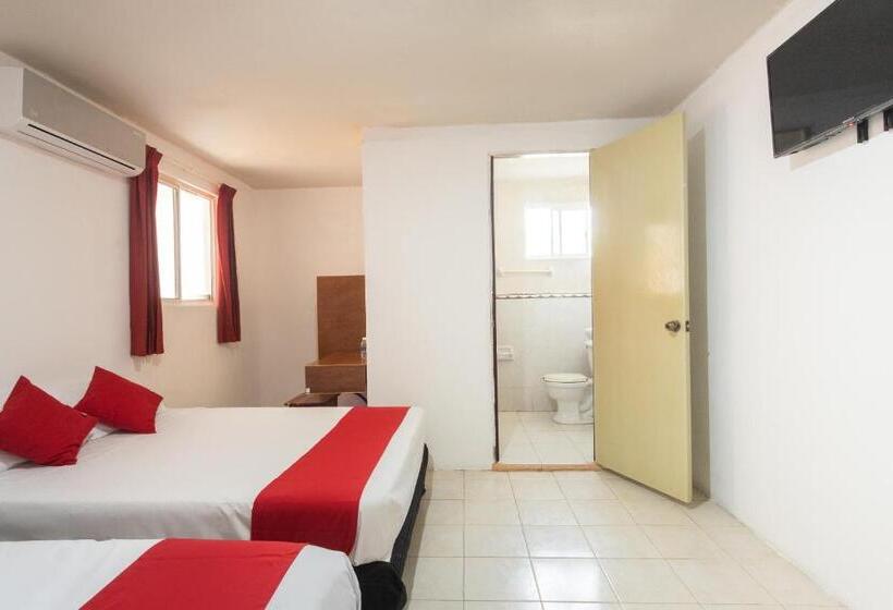 اتاق استاندارد, Cedros