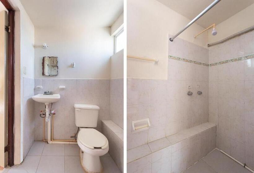 اتاق استاندارد, Cedros