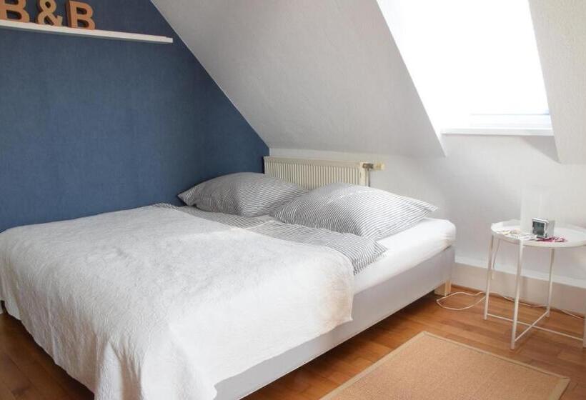 דירת חדר, Bed & Breakfast Freiberg