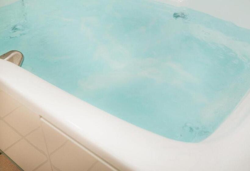 חדר סטנדרט, I Resort Artia Luxury Gifu
