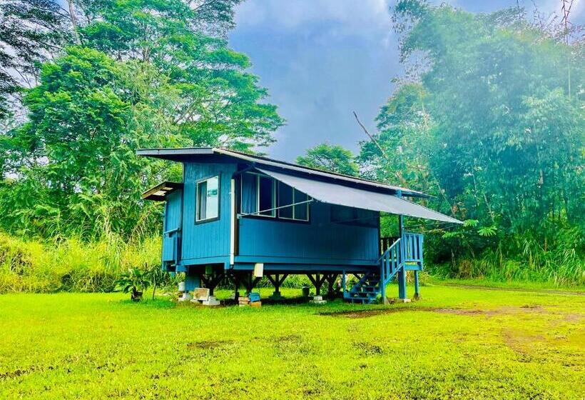 Студия Deluxe, Hawaiian Sanctuary Eco Retreat Center
