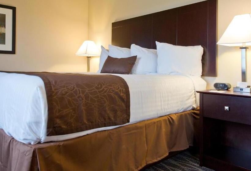 Номер Стандарт, Cobblestone Inn & Suites  Boone