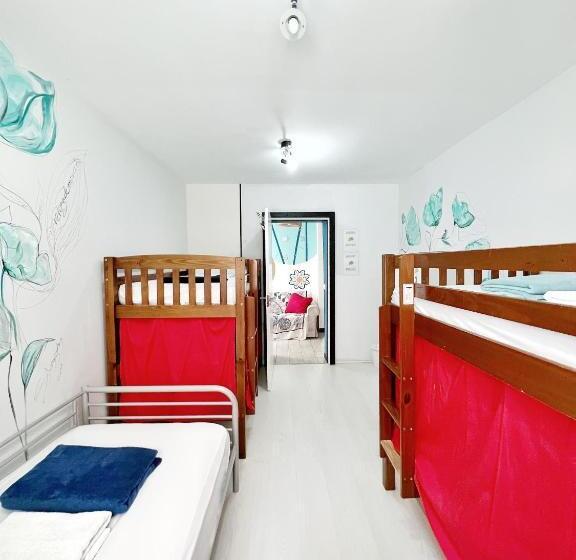 Кровать в Общей Комнате, Tenerife Experience Hostel