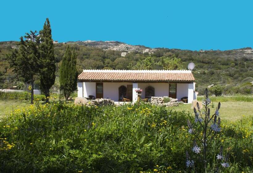 Номер Стандарт, La Casa Del Poeta