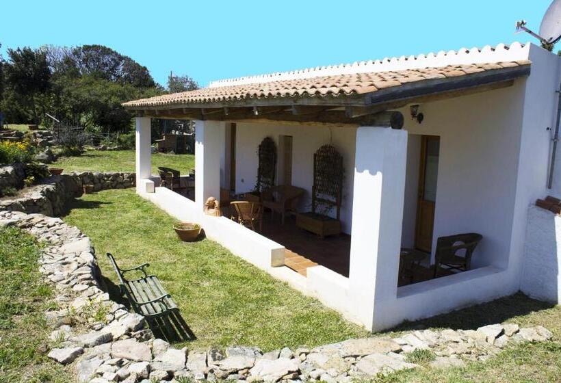 Номер Стандарт Адаптированный для Инвалидов, La Casa Del Poeta