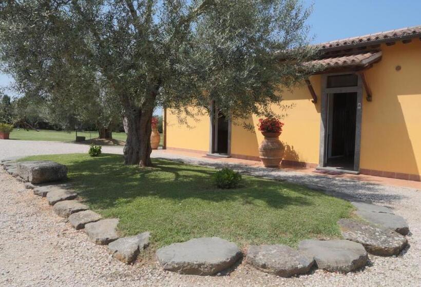 スタンダードスタジオ, Agriturismo Arlena