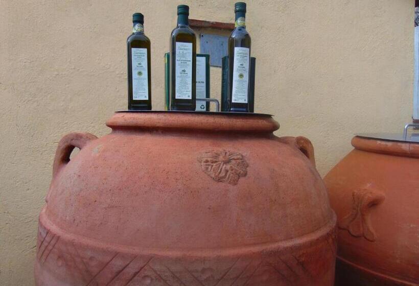 Апартаменты 1 Спальня, Agriturismo Circugnano