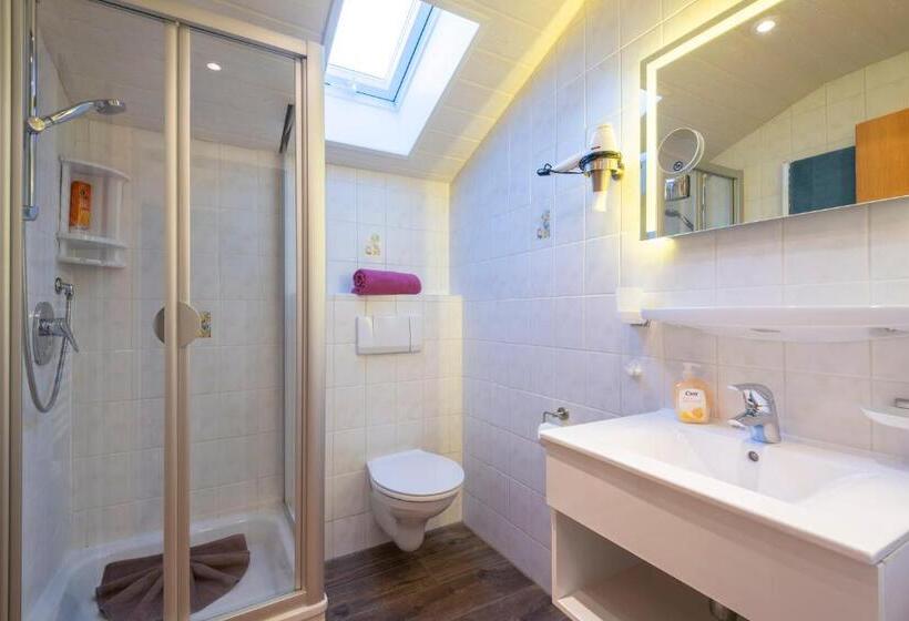 Апартаменты 1 Спальня с Балконом, Ferienhotel Sonnenheim