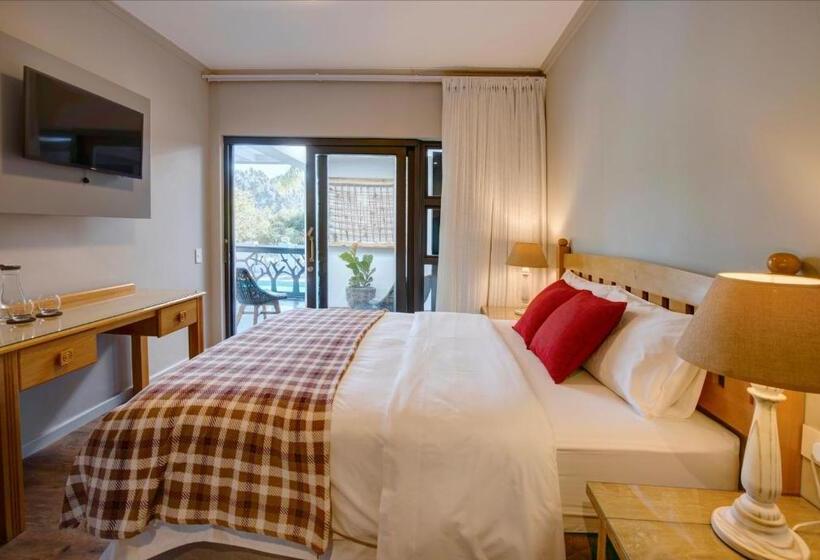 اتاق لوکس خانوادگی, Amour Guest House