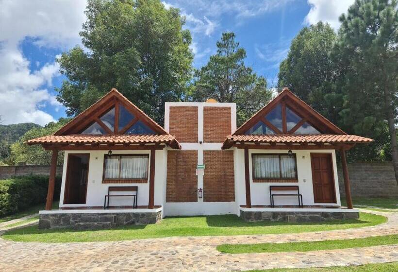 小室, Finca Los Angeles Hospederia & Sociales