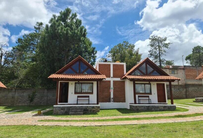 小室, Finca Los Angeles Hospederia & Sociales