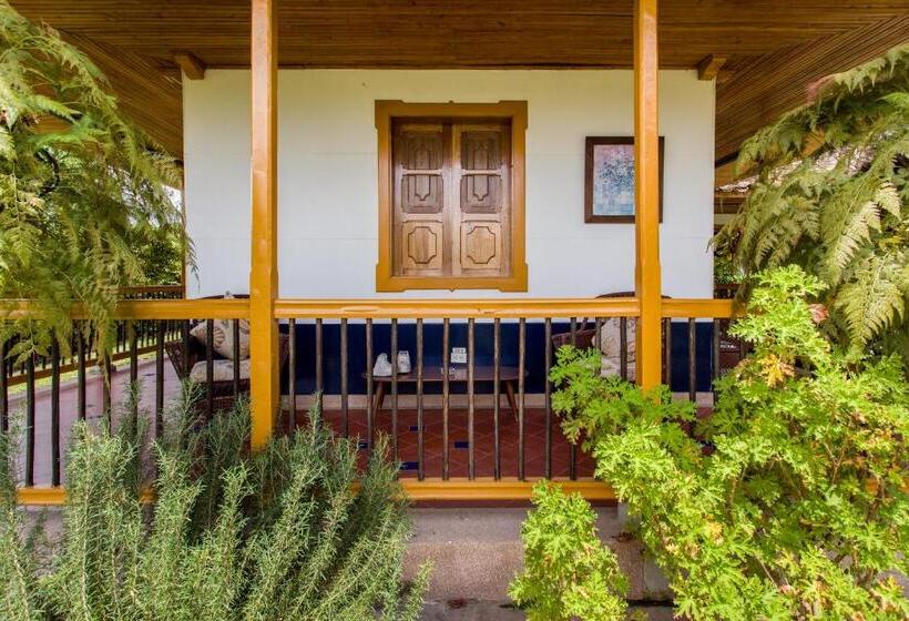 标准单人间, El Laurel Finca Agroturistica