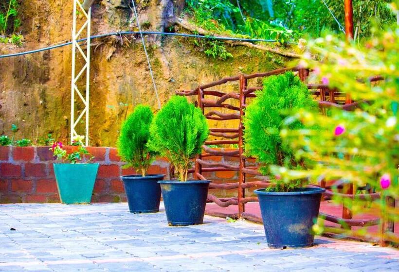 اتاق لوکس, Ella My Inn