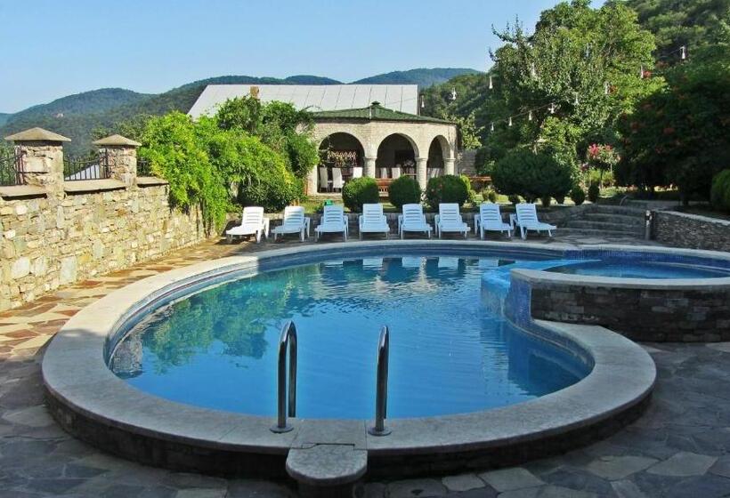 Номер Стандарт Вид на Бассейн, Villa Ananuri