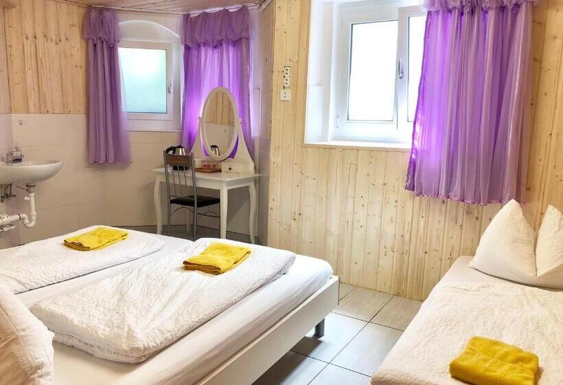 اتاق استاندارد سه تخته با سرویس بهداشتی مشترک, Interlaken Marco Hostel